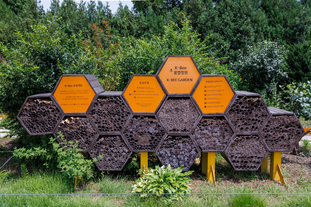 API Design and Integration Best Practices: Ensuring Seamless Connectivity in Modern Software Architectures