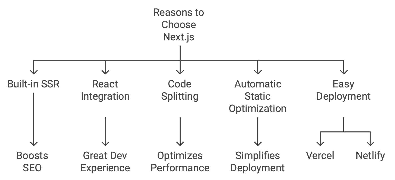 Reasons to Choose Next js